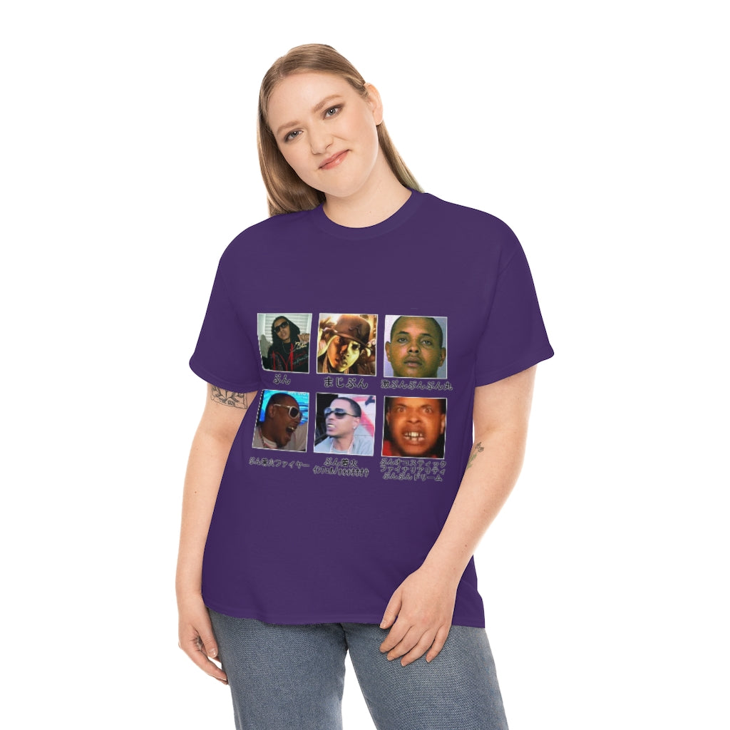 most stylistically pleasant cotton t shirt possible